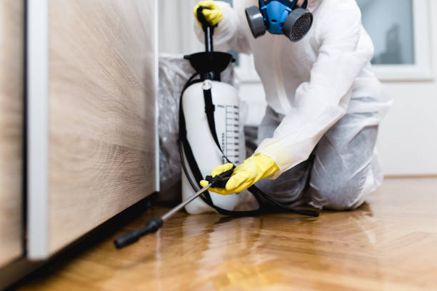 Best Affordable Pest Control Services  in Guadalupe, AZ