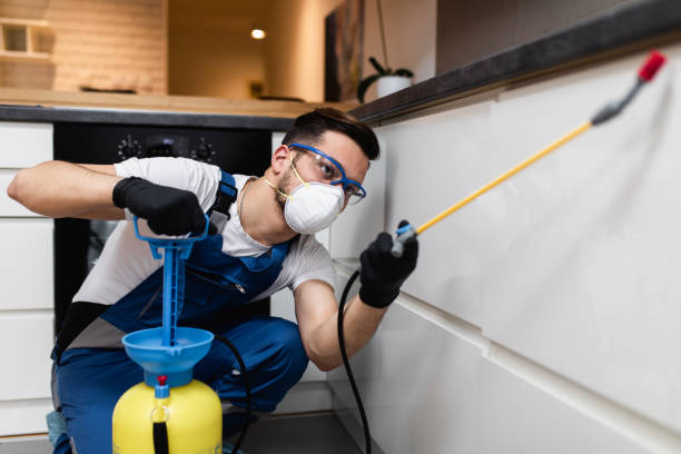 Best Best Pest Control Companies  in Guadalupe, AZ