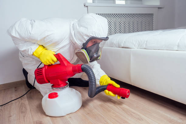 Best Commercial Pest Control Services  in Guadalupe, AZ