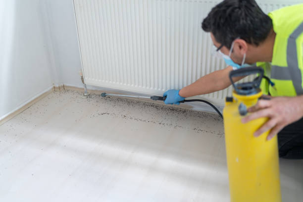 Best Pest Control for Businesses  in Guadalupe, AZ